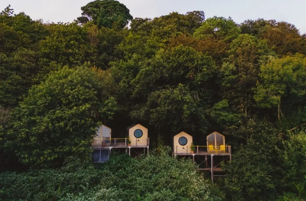 The best treetop hotels in the UK